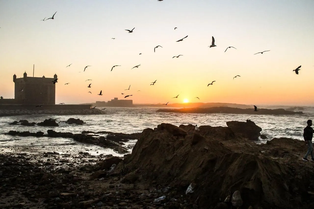 The Chill Art Hostel Essaouira 0*,  Morocco